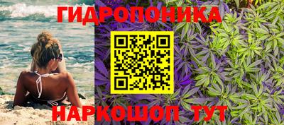 хмурый Боровичи