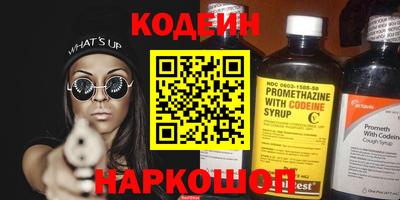 индика Братск