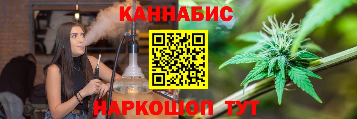 Конопля сатива Боровичи